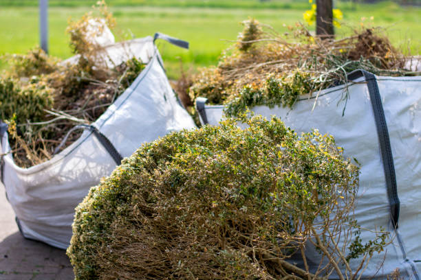 Best Residential Junk Removal  in Brockway, PA